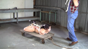 www.viviennevelvet.com - 137 - Kimmy Lee in Suspended on the Cart thumbnail
